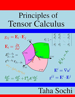 Principles of Tensor Calculus: Tensor Calculus - Paperback / softback NEW Sochi,