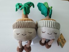 Greenhouse by Russ 12  David The Money Tree Plush Plant Casey Fiddle Tree