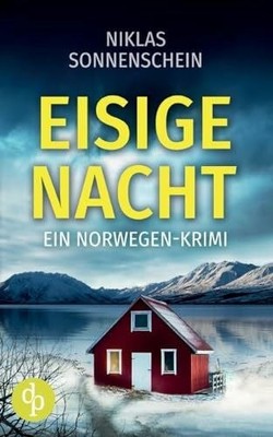 Eisige Nacht: Ein packender Krimi vor der düsteren Kulisse Buch dp Verlag