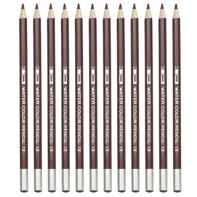 12 Stück Aquarellstifte zum Zeichnen und Malen, lila rot