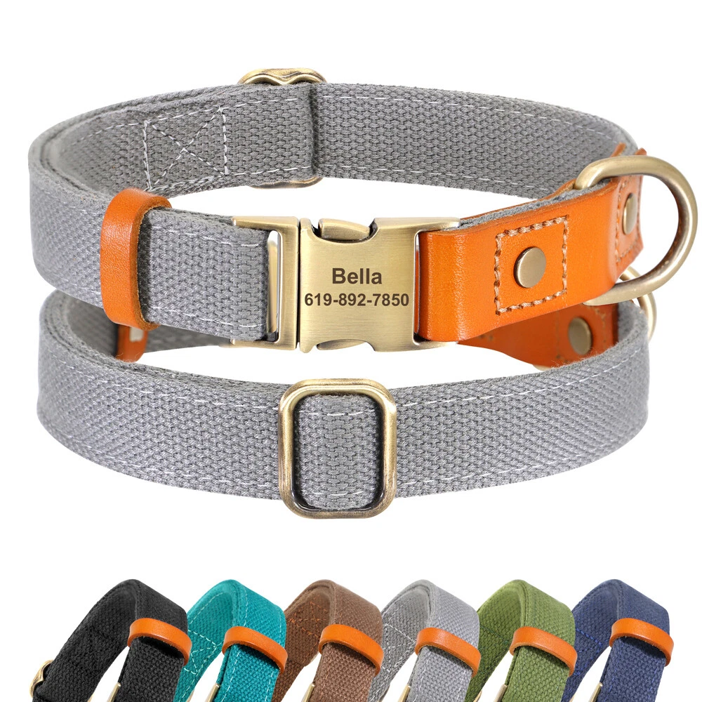 Brushed leather pet collar