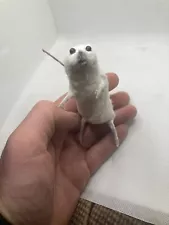Plain White  Taxidermy Mouse