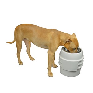 Ourpets Store N Feed Adjustable Raised Dog Bowl Feeder Food