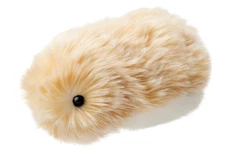 Casio AI Pet Moflin Gold Communication Robot PE-M10GD-IJ NIB IN STOCK SHIPS FREE