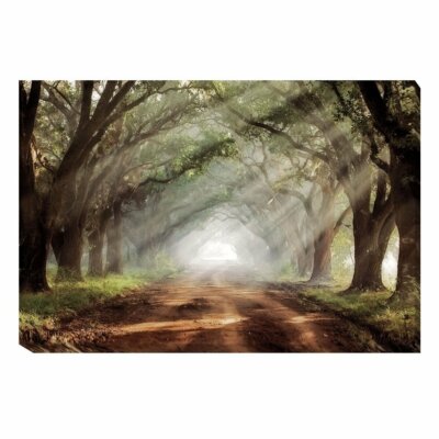 Evergreen Plantation by Mike Jones Gallery-Wrapped Canvas Giclee (24 in x 36 in)