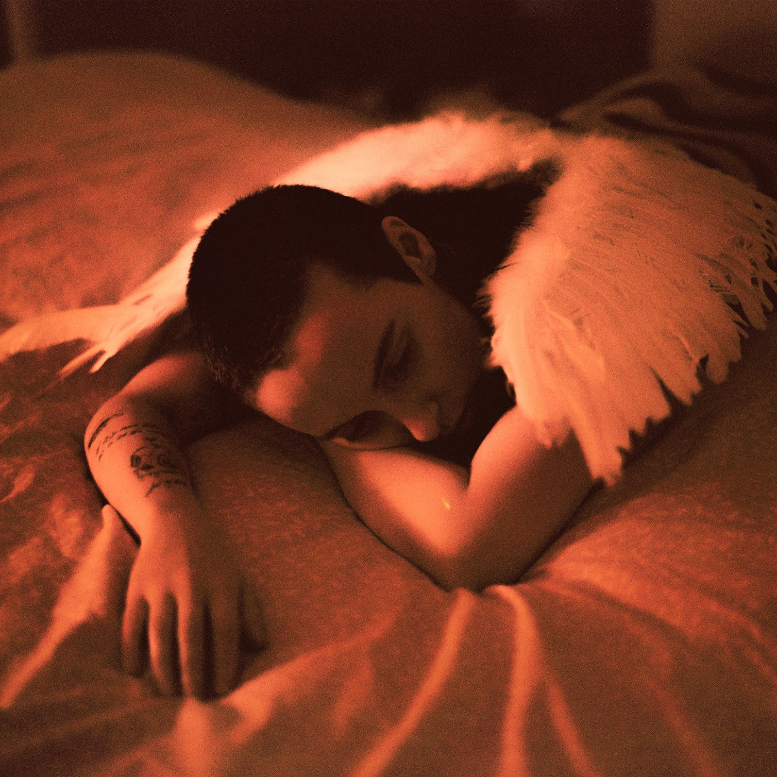 Sea Girls Midnight Butterflies CD NEW