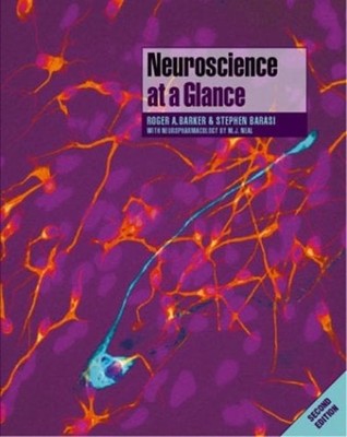 Neuroscience Paperback Stephen, Neal, Michael J., Barker, Roger B