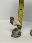 Picture 19 of 19