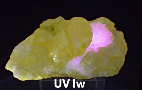 209 Schwefel Aragonit UV ca 4x1x2,5 cm Agrigento Sizilien 1968 - Bild 2 von 4