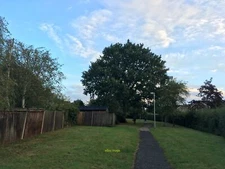 A blue sky emerges After a dull overcast night the sky is clear c2021