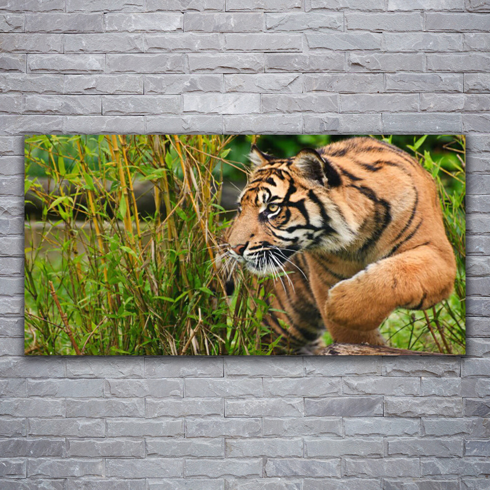 Tableau tigre en verre acrylique 120x60 cm pour salon moderne