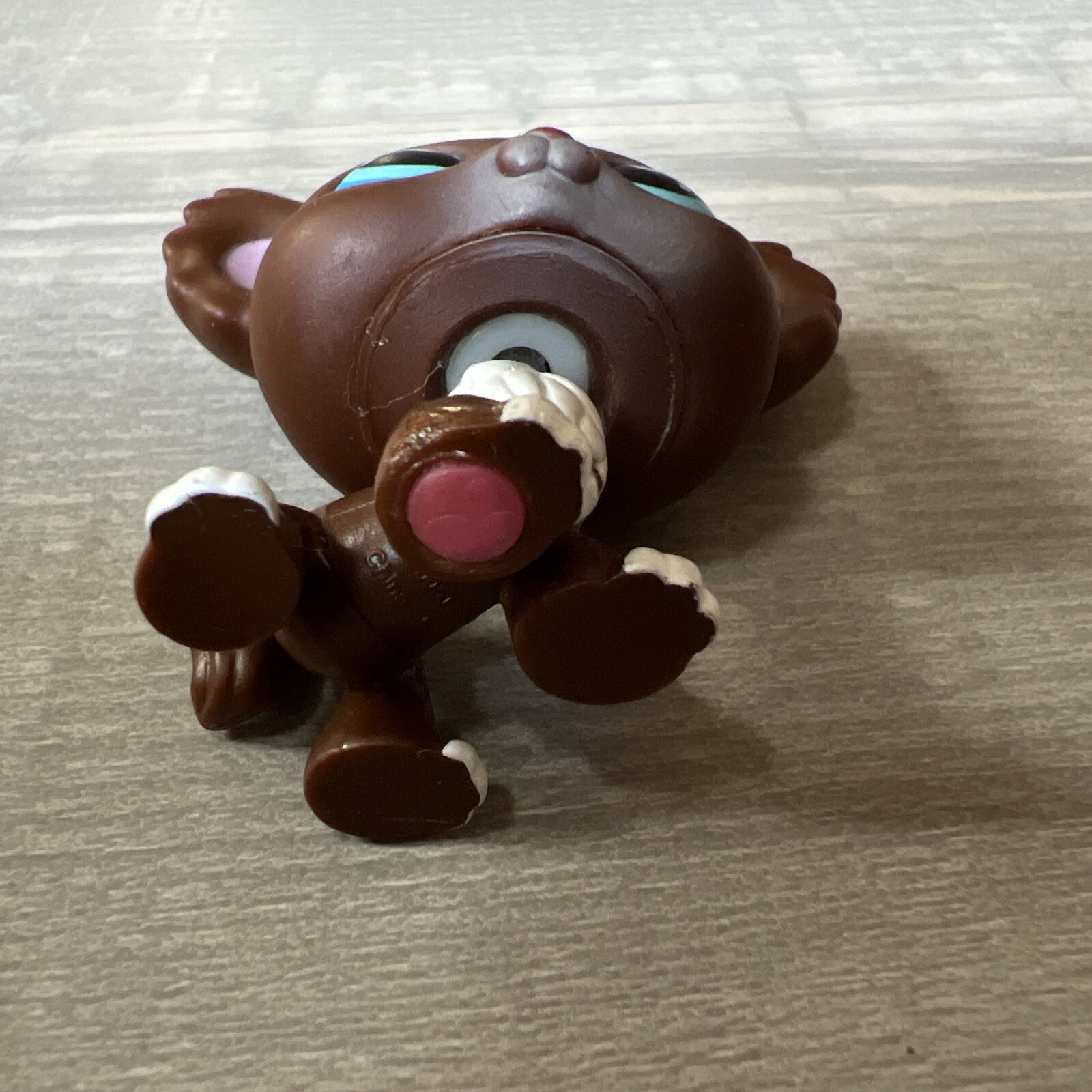 Picture 4 of 5