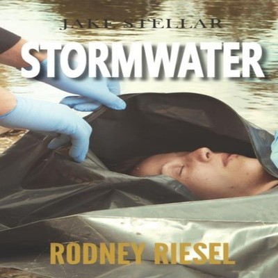 Stormwater Rodney Riesel Paperback Amazon Digital Services LLC -