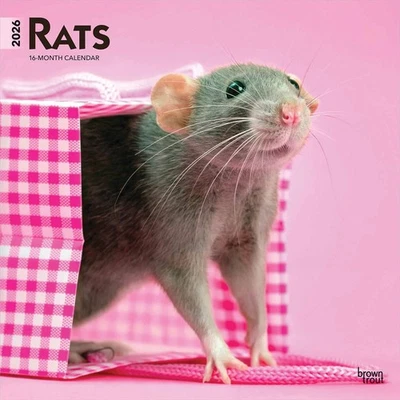 BROWNTROUT PUBLISHERS Rats Calendar 2026 - Animal - Month To View