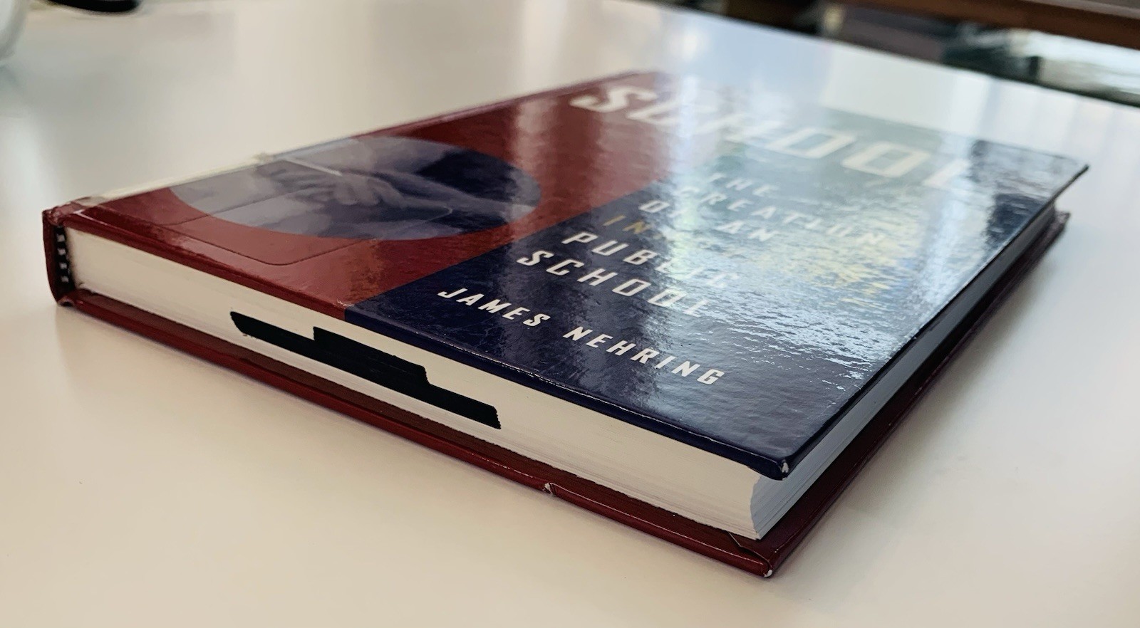 The School within Us James Nehring 1998 Hardcover Innovative Public School