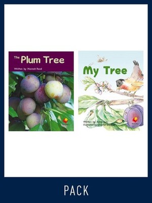 Flying Start Guided Reading Pack Level 7, Pack 5: Paired student books (6x6) and