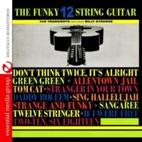 Transients - Funky 12 String Guitar - Cd - G3Z