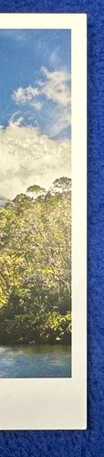 MOUNT TARANAKI FROM LAKE MANGAMAHOE New Zealand Postcard 2012 / 4" x 6" - Picture 4 of 5