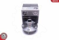 Esen SKV 29SKV449 Radlager Satz FüR CitroËN, Mitsubishi, Peugeot