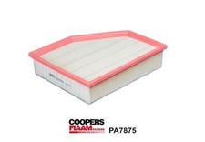 COOPERSFIAAM FILTERS PA7875 Filtre à air pour BMW X3 (G01, F97)