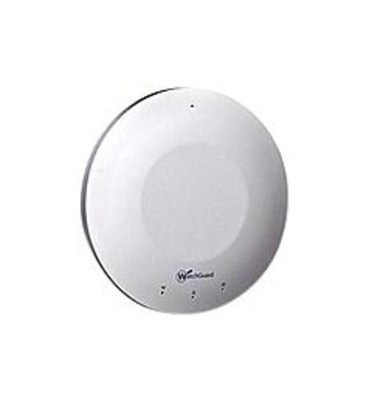 WatchGuard AP100 IEEE 802.11a/b/g/n 300 Mbit/s Wireless Access Point - WG001581