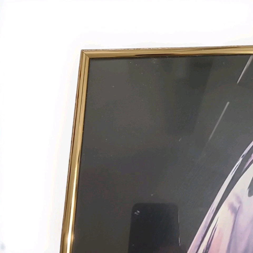 FOTO TROFEO SUPER BOWL ENMARCADO EN ORO DE LOS PITTSBURGH STEELERS CON "DAHNTAHN" 18"X20" Foto 3 de 4