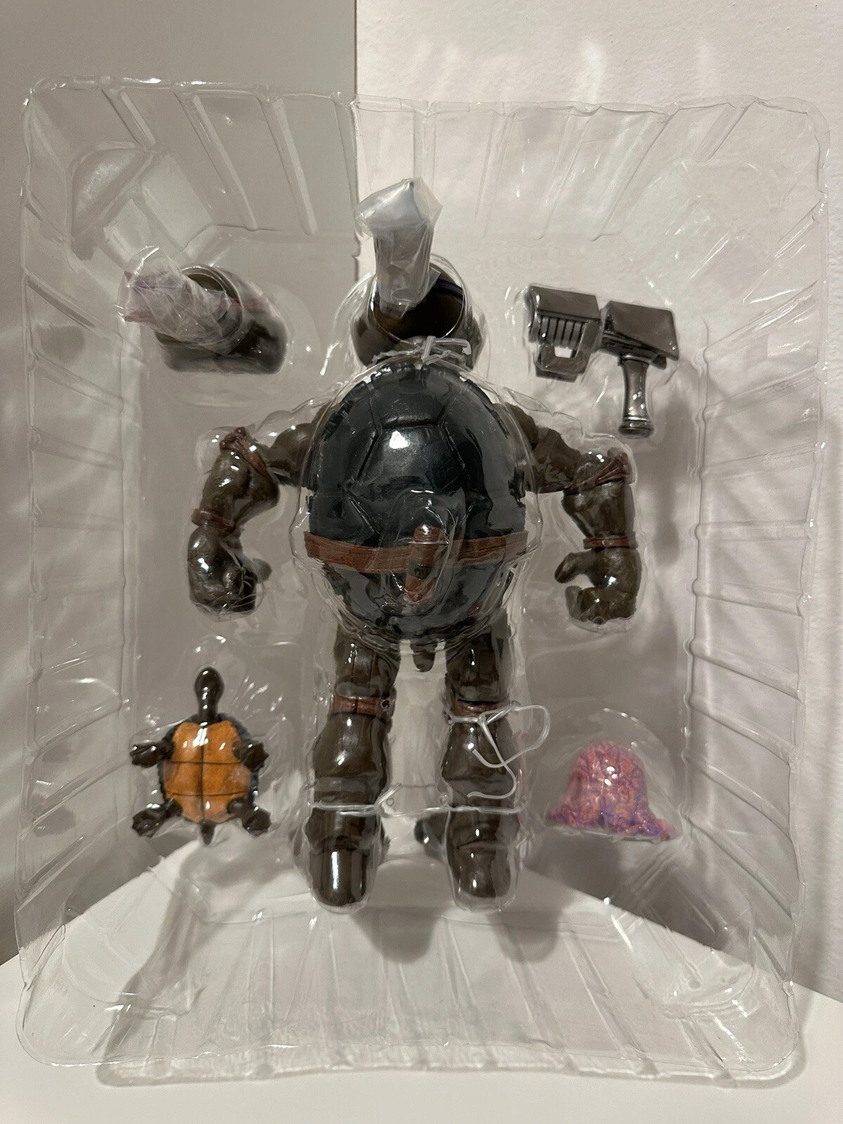 Foto 11 di 11