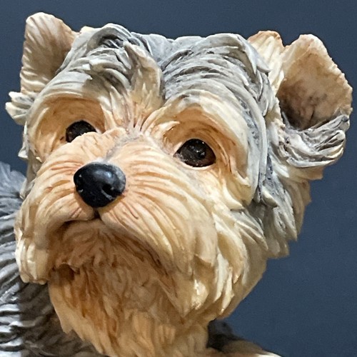 Country Artist Yorkshire Terrier Yorkie Puppy Lying #03287 2006 Sparking Eyes - Picture 16 of 16