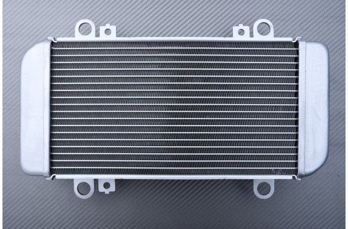 Radiateur Kawasaki Z250 en aluminium soudé TIG haute performance