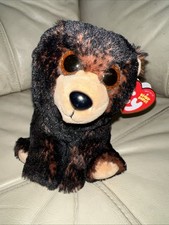 TY Classic Plush KODI the Black Bear 10" Stuffed Animal Toy 2021 NEW with Tag