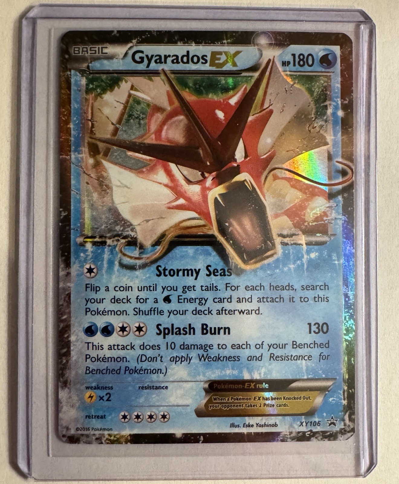 Pokemon Gyarados EX Holo Black Star Promo 2016 XY106 - NM