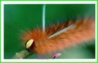 Bild 179 von 187