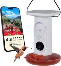 Smart Solar Pro Hummingbird Feeder with Camera - AI Bird Identification, 2K Vide