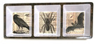 Halloween Melamine 3-Well Divided Tray 5.75x14.5" Snacks Crow Spider Bat