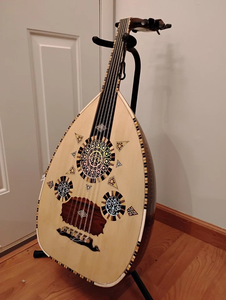 Oud iraquí profesional Foto 4 de 4