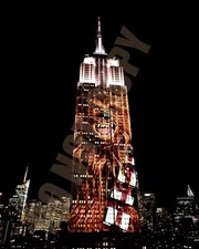Chewbacca STAR WARS On Empire State Building New York City 8x10 Photo