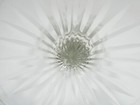 Bild 8 von 17