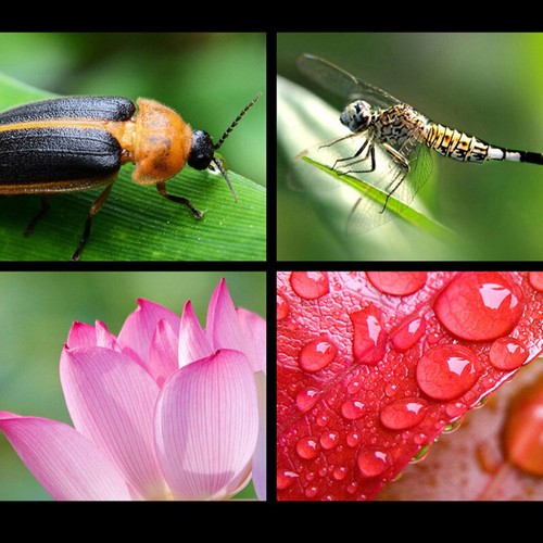 Super Wide Angle 0.45X and 15X Macro Lens Clip-on For iphone Camera Univers`-a - Zdjęcie 8 z 8