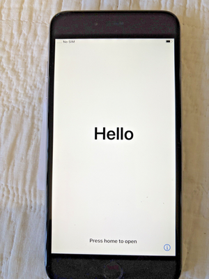 Apple iPhone 6s Plus - 128 GB - Space Gray (Unlocked), 100
