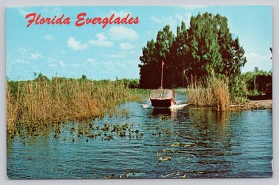Vintage Florida Everglades Airboat Ride Chrome Postcard Miami FL 1950s-70s