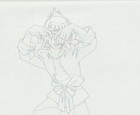 The Twelve Kingdoms Juuni Kokki Genga Douga Original Sketches Pierrot - Aozaru — photo 1