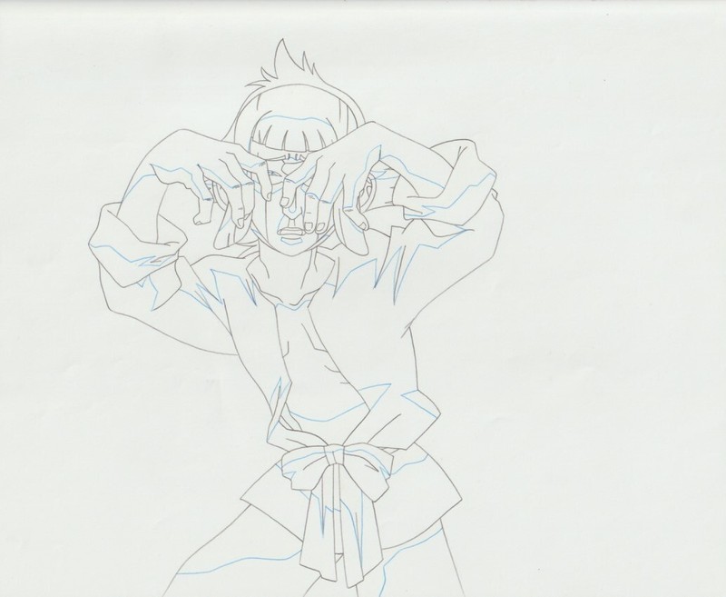 The Twelve Kingdoms Juuni Kokki Genga Douga Original Sketches Pierrot - Aozaru