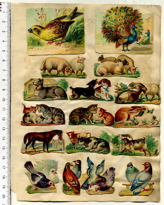Konvolut 28 Oblaten Vögel, Hunde, Katzen, Schafe u.a.m. etwa 1895