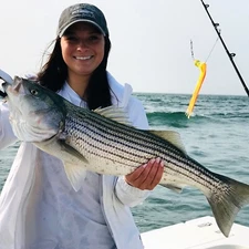 12" Cape Cod 3 oz. Weighted Hoochies for Stripers, Bluefish and other Game Fish