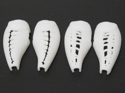 Plantilla 3D de plástico duro wLure para señuelo de pesca cebo de manivela cuerpo en blanco UPC655 - Imagen 4 de 5