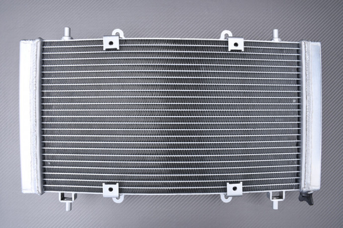 Radiateur eau AVDB en aluminium Coleman Outfitter UT400 2013-2015 refroidissement racing