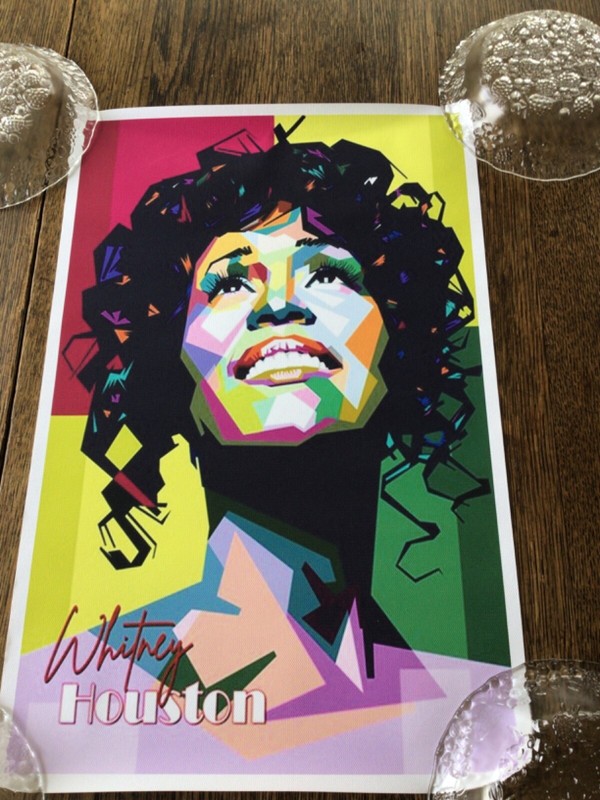 Modern   pop art , WHITNEY HOUSTON 12x18” vinyl canvas POSTER so cool New I