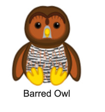 Webkinz Classic Barred Owl Code Only Promo Kinz Virtual Bird Pet Retired