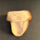 Picture 6 of 6