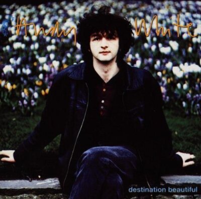 Andy White Destination beautiful (1994)  [CD]